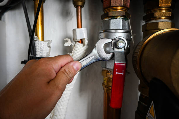 Best Best Plumbers Near Me  in Webberville, MI